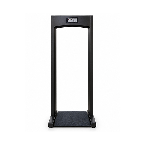 Door Frame Metal Detector (DFMD)